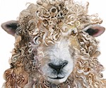 Longwool's Avatar