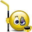 hockey's Avatar